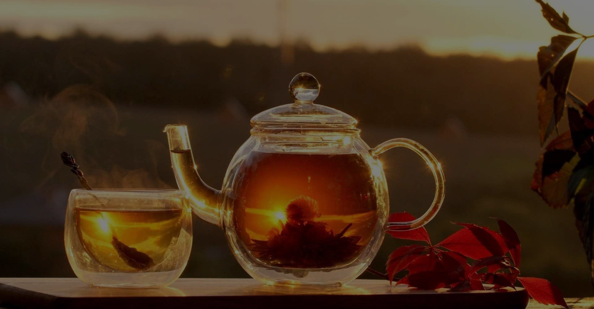 Sfondo di foglie di tè